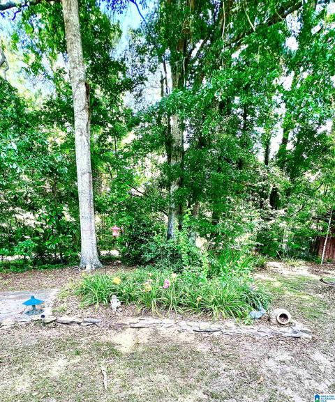 46 County Road 80, Clanton, AL 35045 photo 30