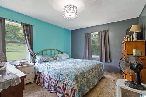 705 Ridgeway Dr, Oneonta, AL 35121 photo 19