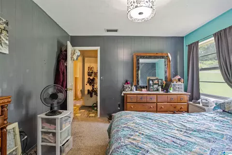 705 Ridgeway Dr, Oneonta, AL 35121 photo 20