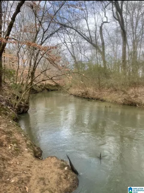 0 Bailey Springs Rd #0, Ohatchee, AL 36271