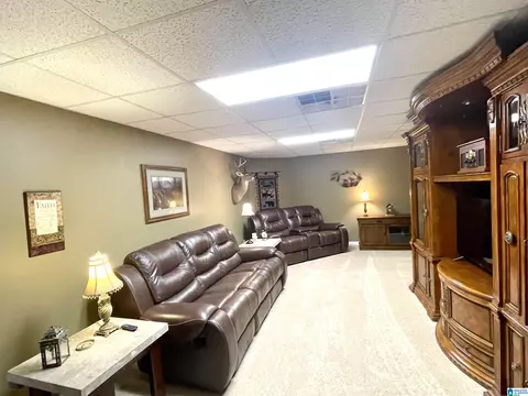 511 Springdale Rd, Mount Olive, AL 35117 photo 31