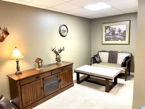 511 Springdale Rd, Mount Olive, AL 35117 photo 33