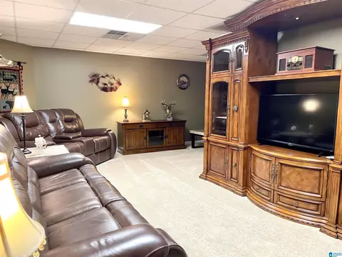 511 Springdale Rd, Mount Olive, AL 35117 photo 32