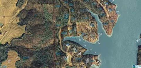 lot8 County Road 283 #8, Arley, AL 35541