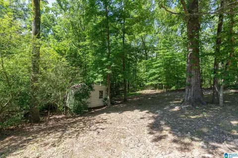 101 Silverleaf Ln, Alabaster, AL 35007 photo 36