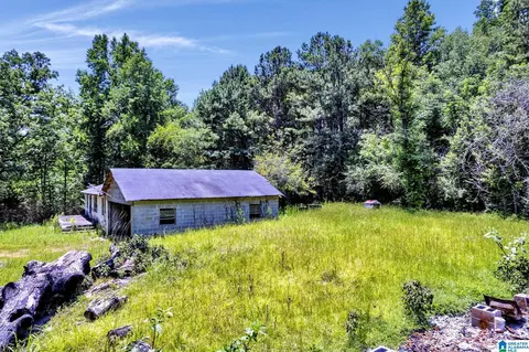 572 Dunn Hill Rd, Parrish, AL 35580 photo 4