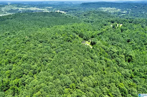 572 Dunn Hill Rd, Parrish, AL 35580 photo 16