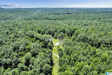 572 Dunn Hill Rd, Parrish, AL 35580 photo 22