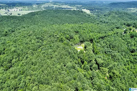 572 Dunn Hill Rd, Parrish, AL 35580 photo 15