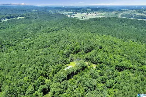 572 Dunn Hill Rd, Parrish, AL 35580 photo 13