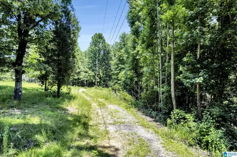 572 Dunn Hill Rd, Parrish, AL 35580 photo 7