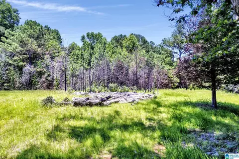 572 Dunn Hill Rd, Parrish, AL 35580 photo 3