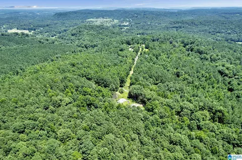 572 Dunn Hill Rd, Parrish, AL 35580 photo 9