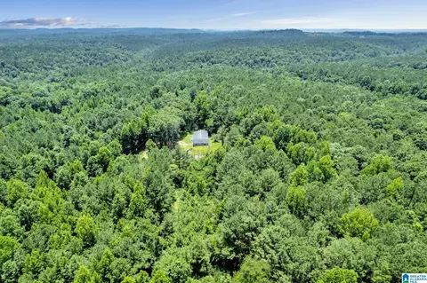 572 Dunn Hill Rd, Parrish, AL 35580 photo 24