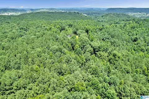 572 Dunn Hill Rd, Parrish, AL 35580 photo 25