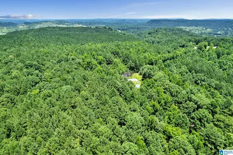 572 Dunn Hill Rd, Parrish, AL 35580 photo 17