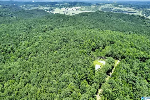 572 Dunn Hill Rd, Parrish, AL 35580 photo 14
