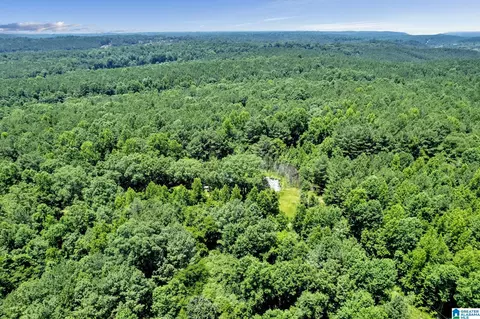 572 Dunn Hill Rd, Parrish, AL 35580 photo 21