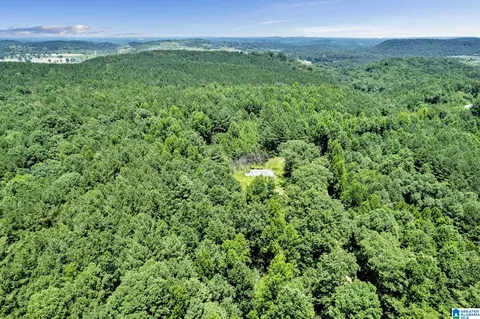 572 Dunn Hill Rd, Parrish, AL 35580 photo 18