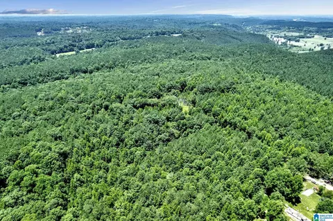 572 Dunn Hill Rd, Parrish, AL 35580 photo 12