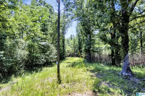 572 Dunn Hill Rd, Parrish, AL 35580 photo 6