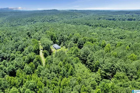 572 Dunn Hill Rd, Parrish, AL 35580 photo 23
