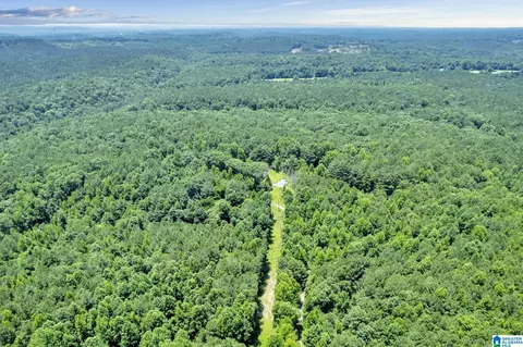 572 Dunn Hill Rd, Parrish, AL 35580 photo 10