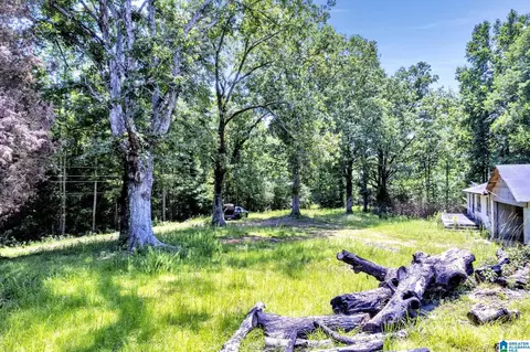 572 Dunn Hill Rd, Parrish, AL 35580 photo 5