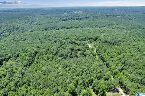 572 Dunn Hill Rd, Parrish, AL 35580 photo 11