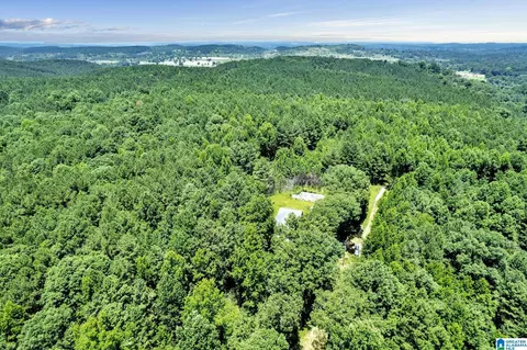 572 Dunn Hill Rd, Parrish, AL 35580 photo 19