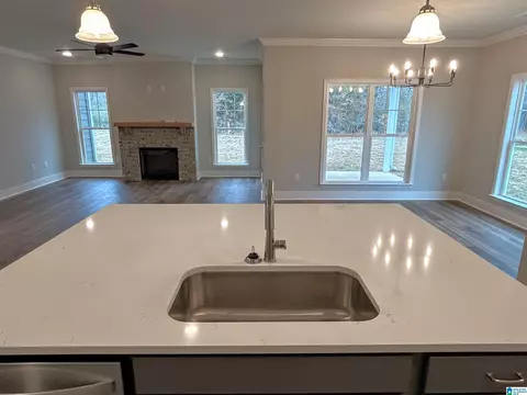 1475 Brooks Dr, Mount Olive, AL 35117 photo 33