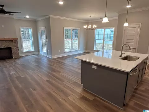 1475 Brooks Dr, Mount Olive, AL 35117 photo 31