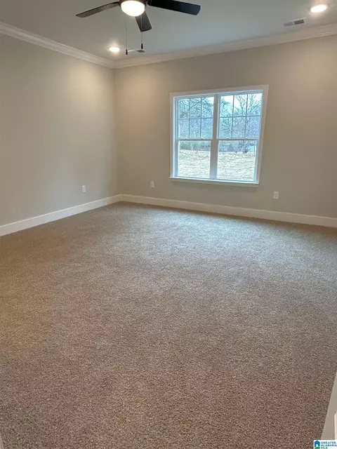 1475 Brooks Dr, Mount Olive, AL 35117 photo 45