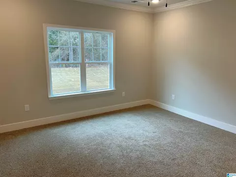 1475 Brooks Dr, Mount Olive, AL 35117 photo 50