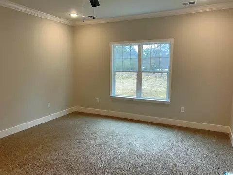 1475 Brooks Dr, Mount Olive, AL 35117 photo 47