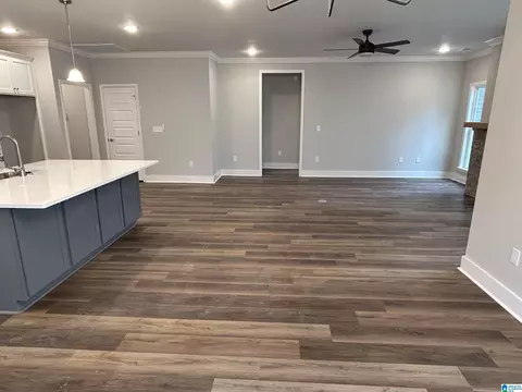 1475 Brooks Dr, Mount Olive, AL 35117 photo 37