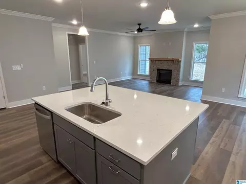 1475 Brooks Dr, Mount Olive, AL 35117 photo 34