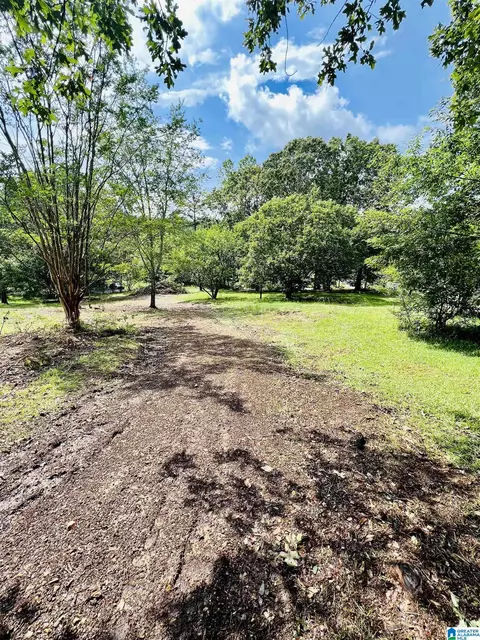 57 Bob Smith Rd, Remlap, AL 35133 photo 5