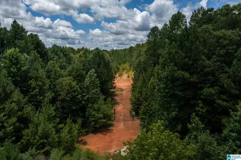 Deer Ridge Drive, Chelsea, AL 35043