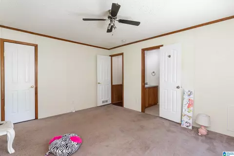 1370 Spring Rd, Ohatchee, AL 36271 photo 24