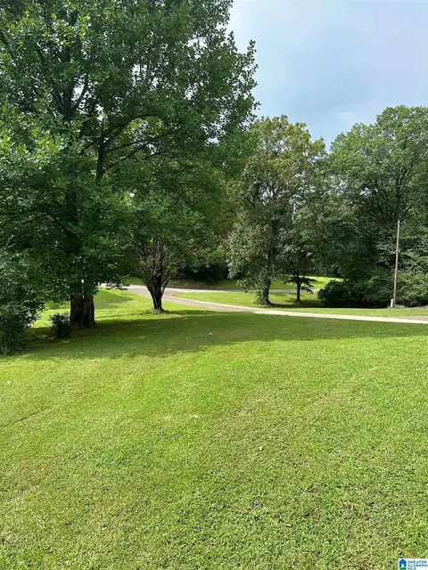 5250 Skyline Dr, Warrior, AL 35180 photo 7