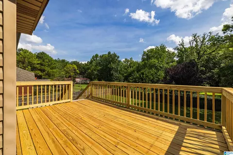 100 Chinaberry Ln, Maylene, AL 35114 photo 34