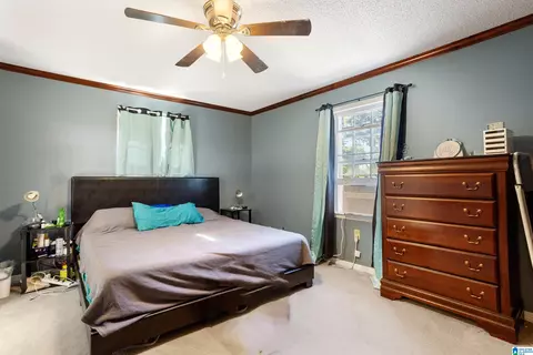 905 Lay Dam Rd, Clanton, AL 35045 photo 7