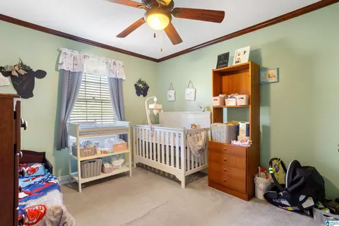 905 Lay Dam Rd, Clanton, AL 35045 photo 3