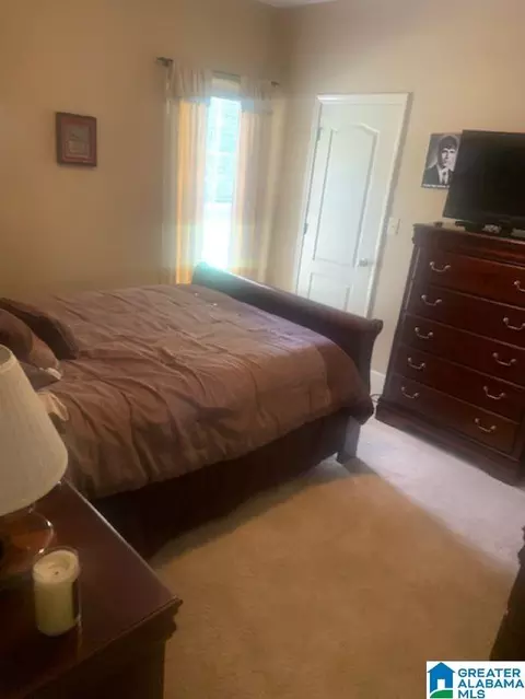 22573 Iron Masters Loop, Mc Calla, AL 35111 photo 15