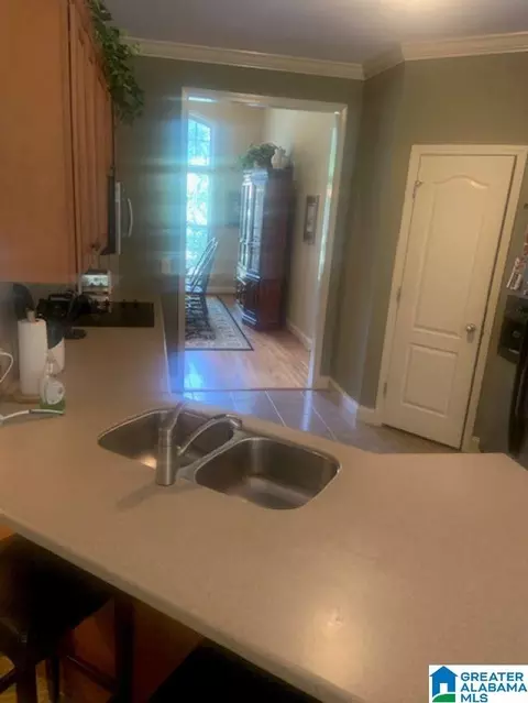 22573 Iron Masters Loop, Mc Calla, AL 35111 photo 9