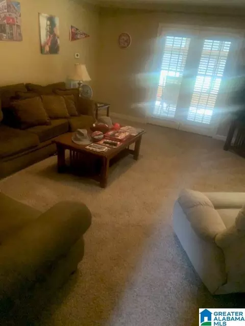 22573 Iron Masters Loop, Mc Calla, AL 35111 photo 5