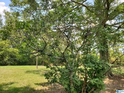 385 County Road 184, Clanton, AL 35045 photo 13