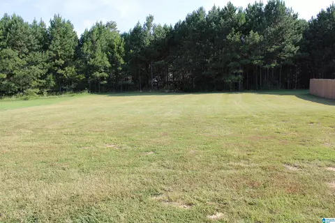 420 Clover Cir, Springville, AL 35146 photo 19