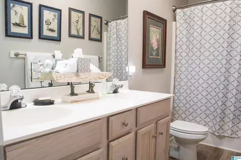 445 Coves Point Dr, Riverside, AL 35135 photo 34